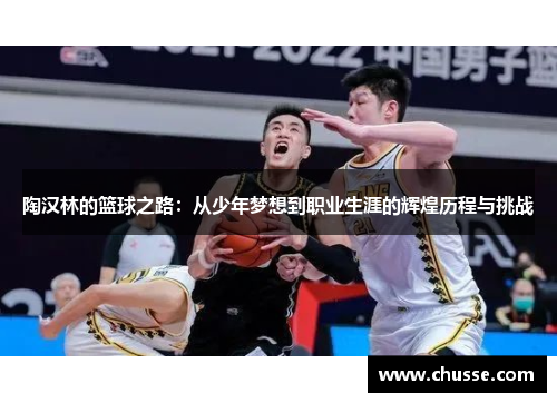 陶汉林的篮球之路：从少年梦想到职业生涯的辉煌历程与挑战